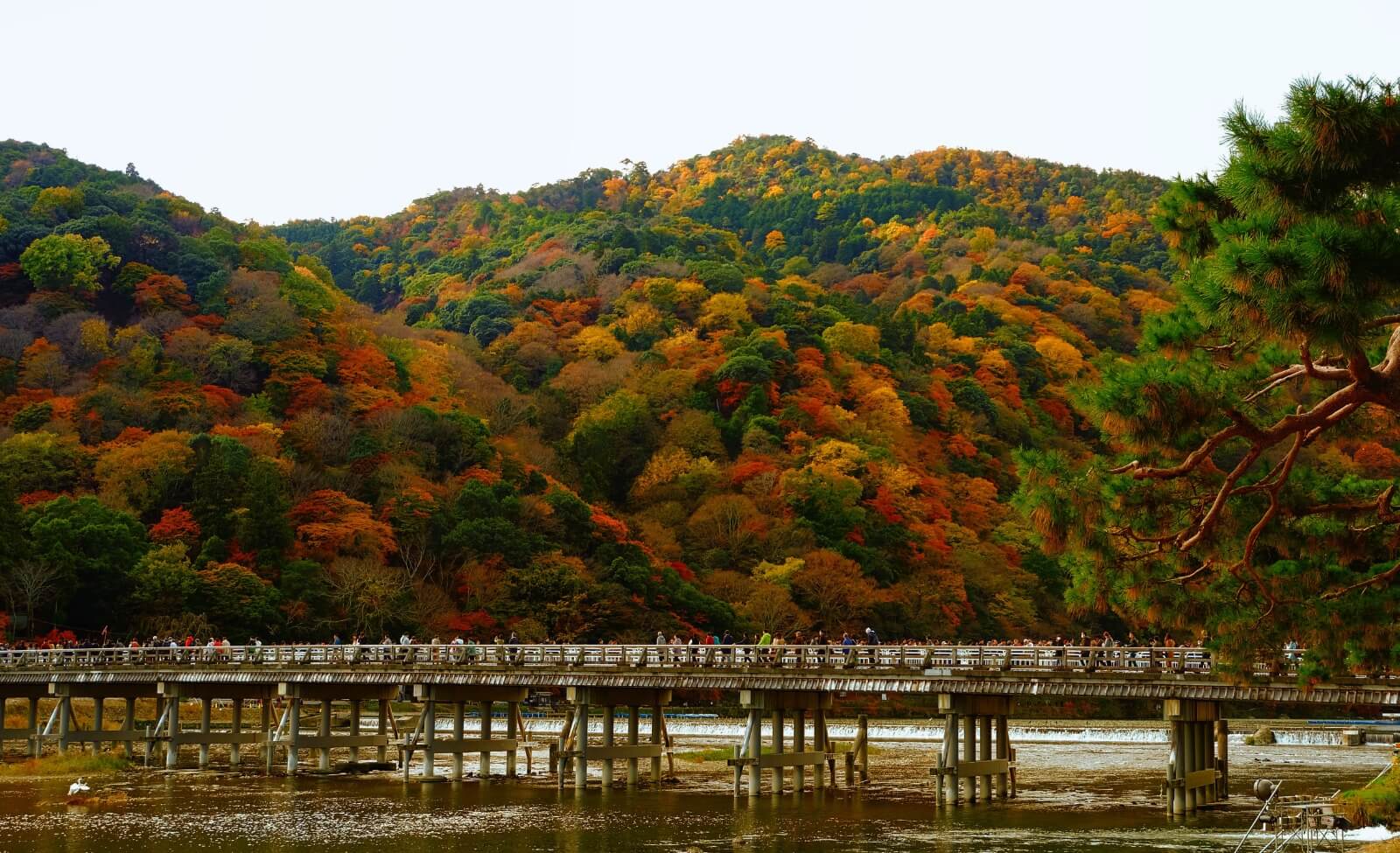 渡月橋配上紅葉群山，是必影照片