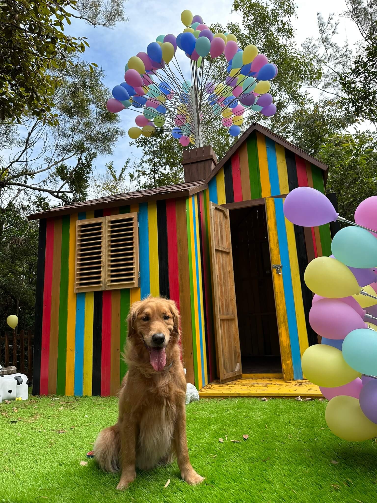 沖天救兵的彩色氣球小屋！（圖片來源：LevelUpWorkshop網頁）