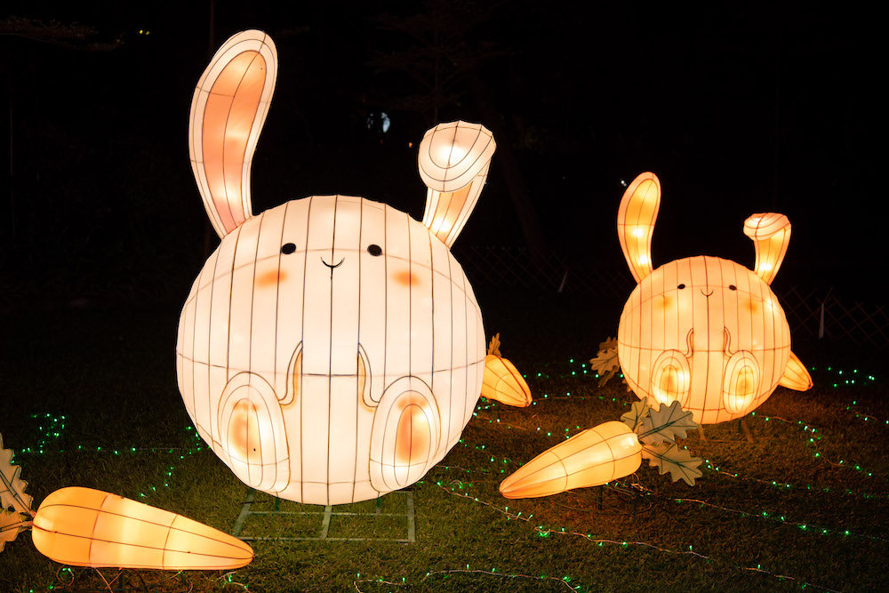 兔子造型的綵燈，讓人賞心悅目（圖片來源：康文署網頁）