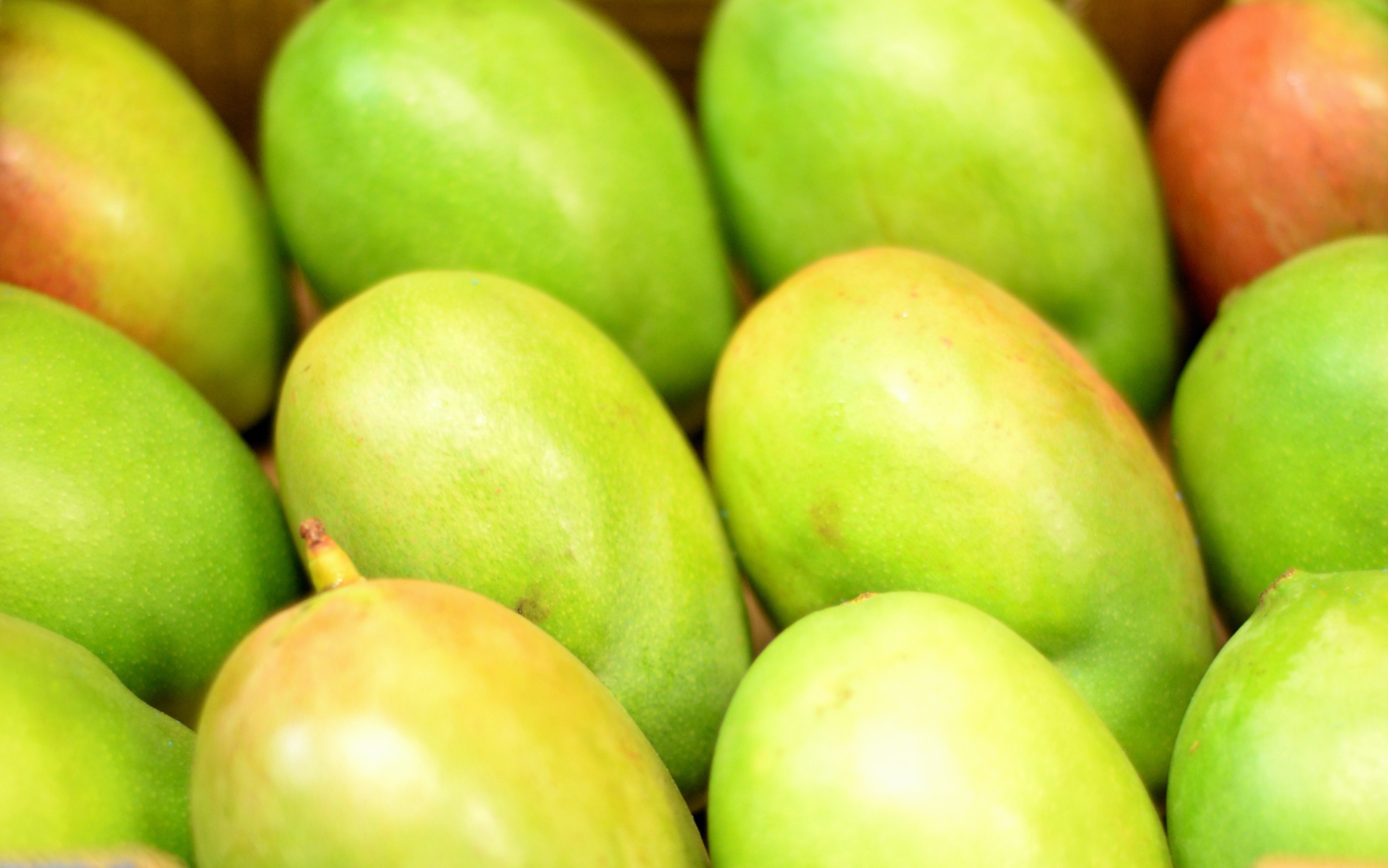 果椗形狀較圓潤的芒果一般甜度較高，而果椗較平坦的甜度較低