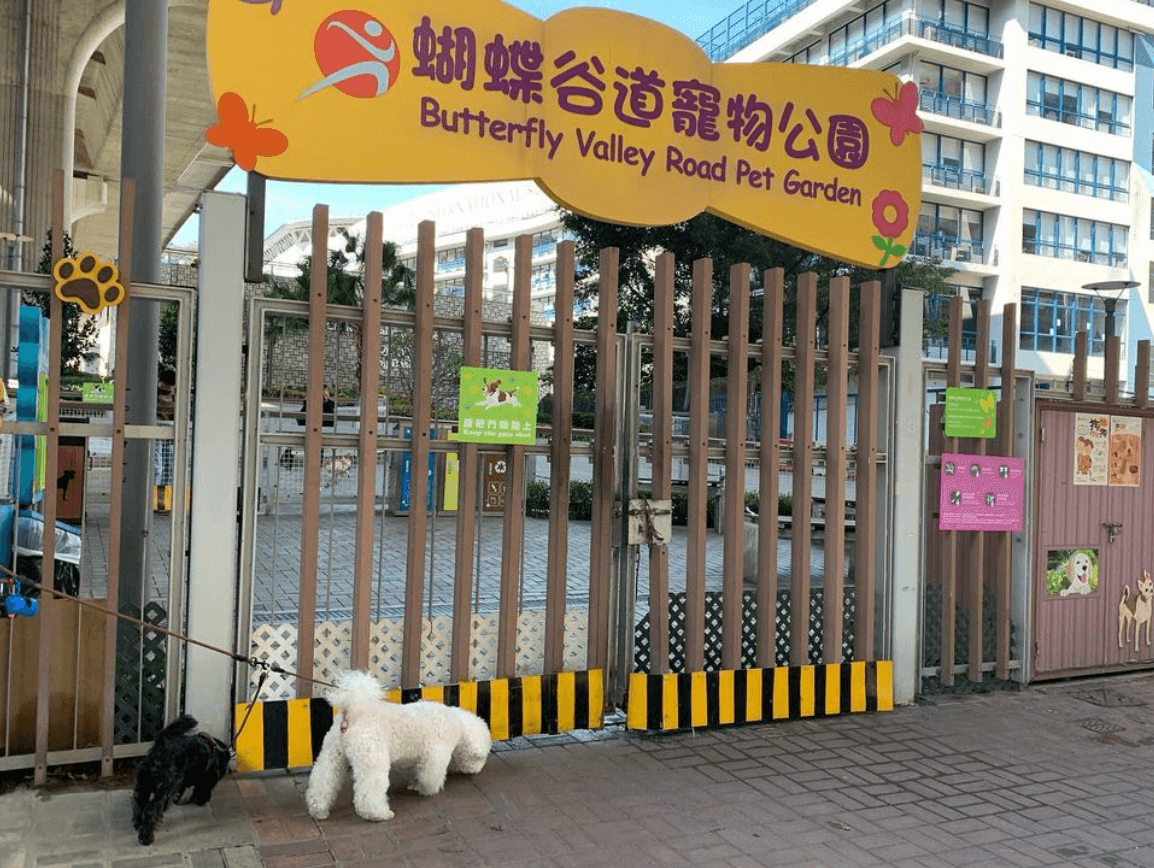 蝴蝶谷道寵物公園是九龍區最大的狗公園 圖片：IG@auchitsang