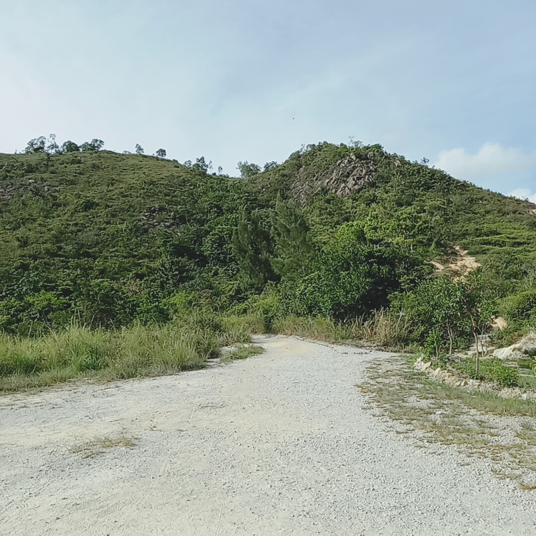 上到一半位置，從這裡一直走，到山頂分岔路向左直行就能到達良田坳