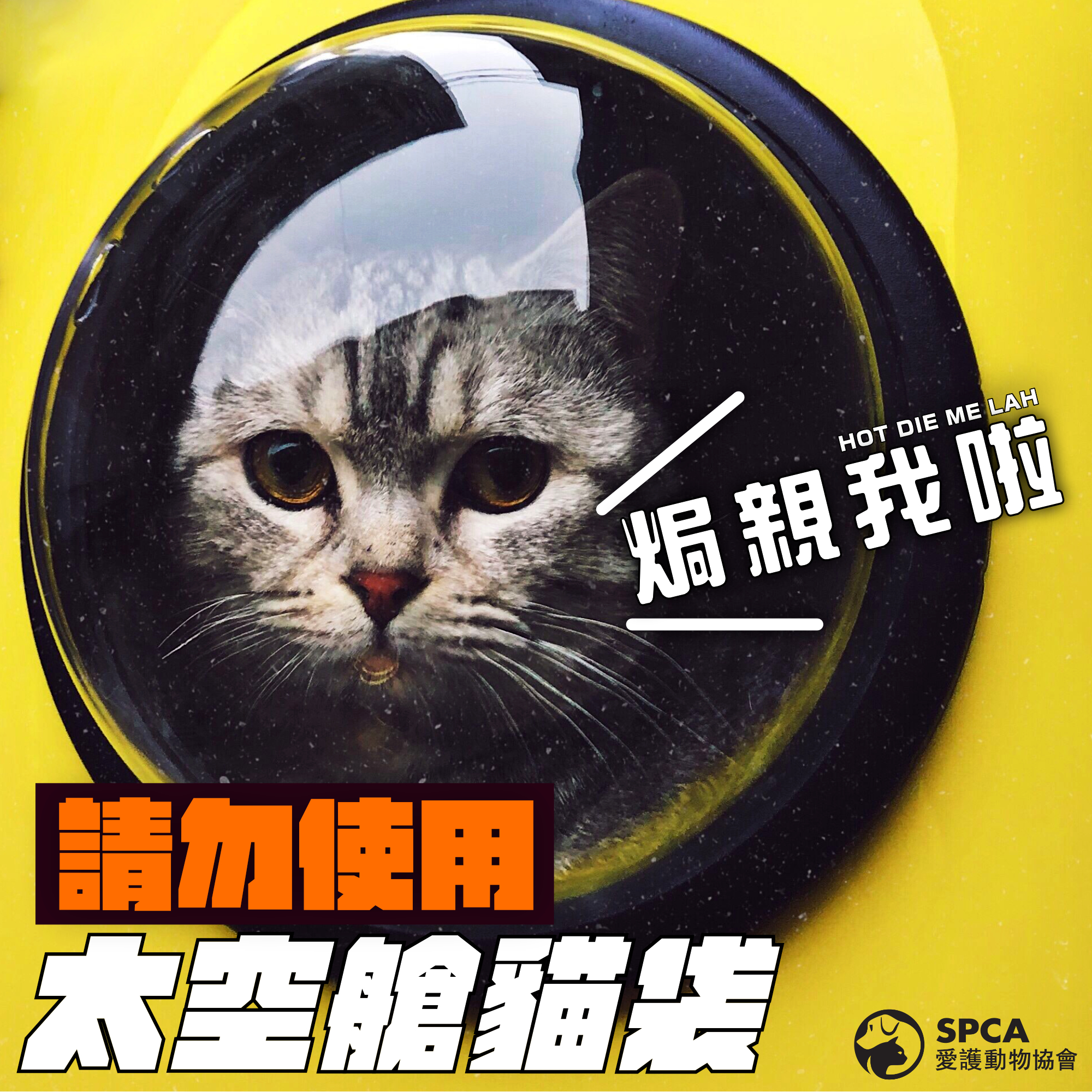 愛協曾出Po呼籲主人們不要用太空艙寵物袋（圖片：愛協FB）