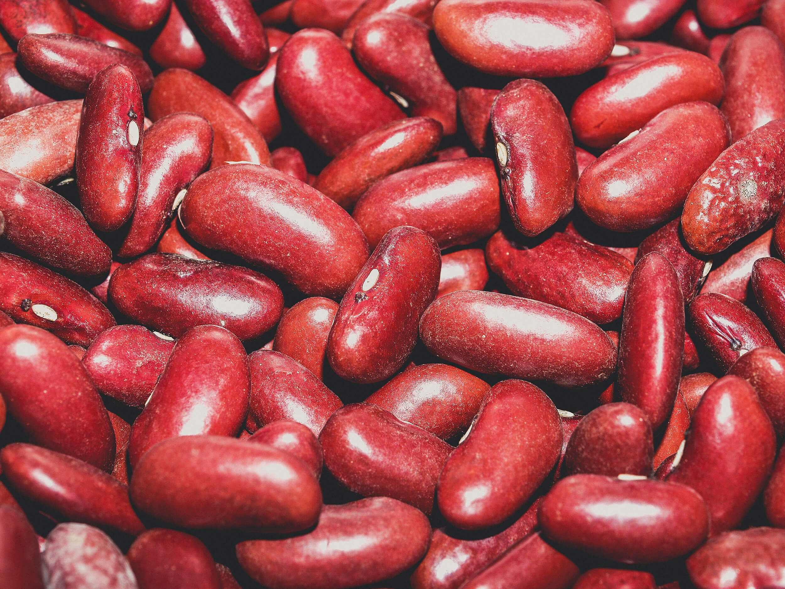 紅豆可增強體力，又可去水腫